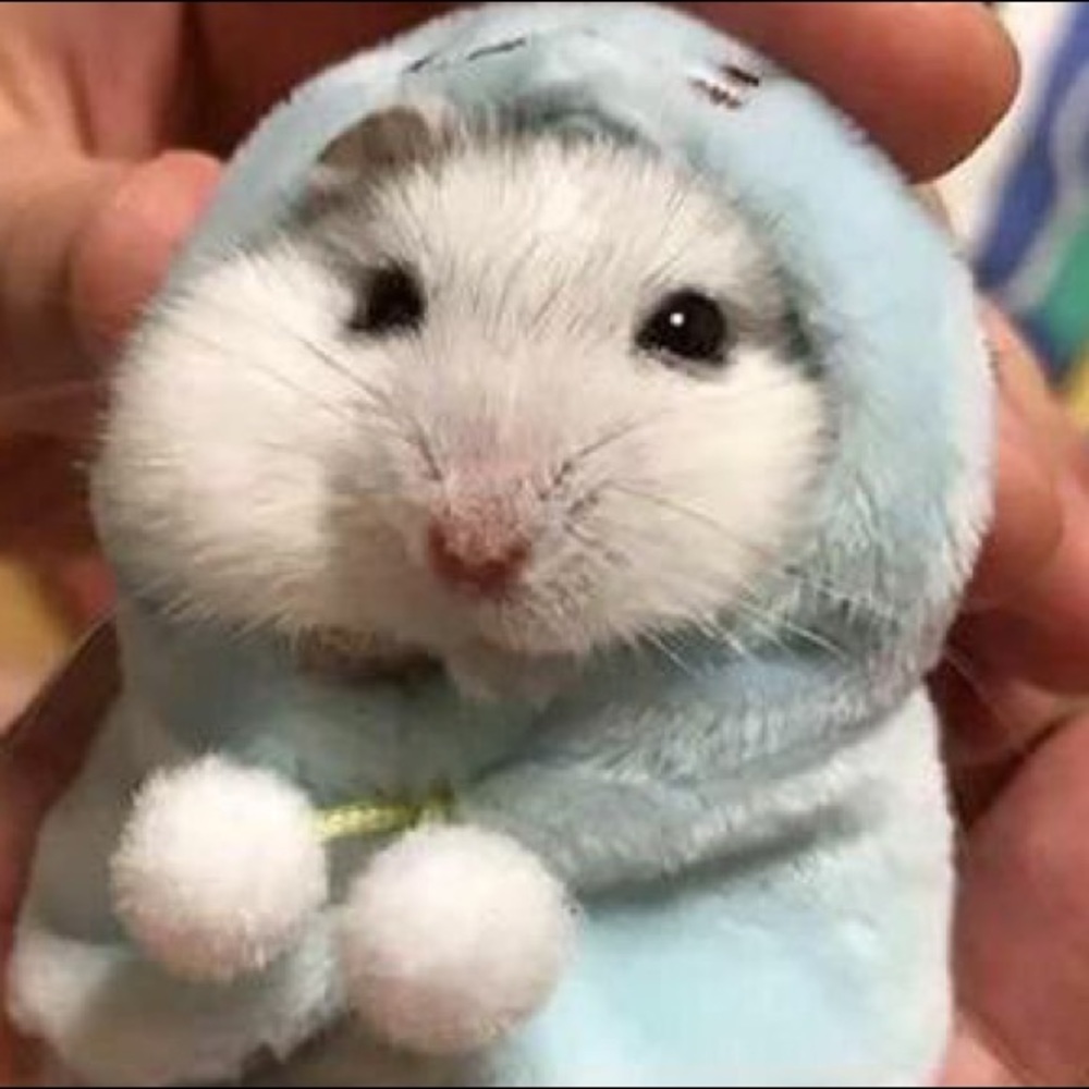 Meet your Posher, Emi